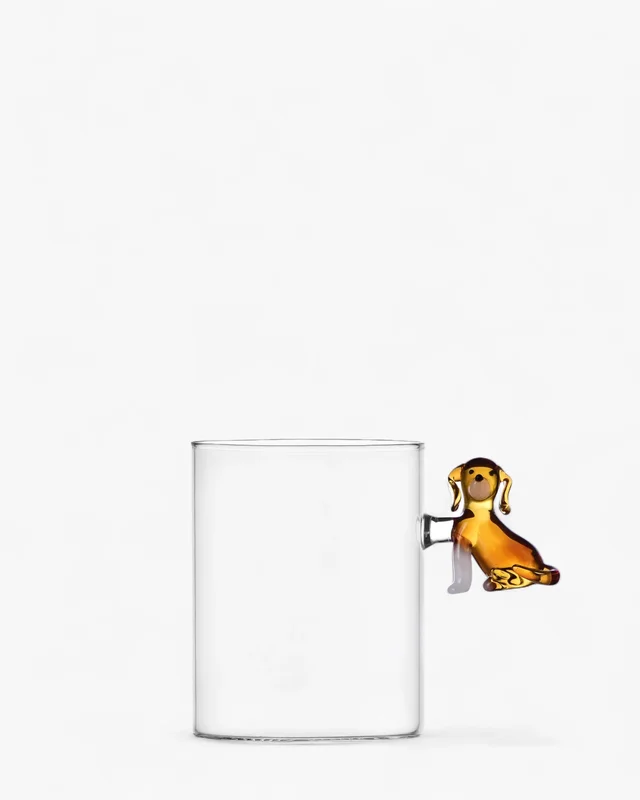 aceji1lchjh